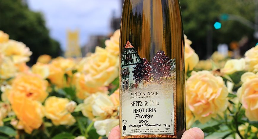 The Sublime Wine from Alsace